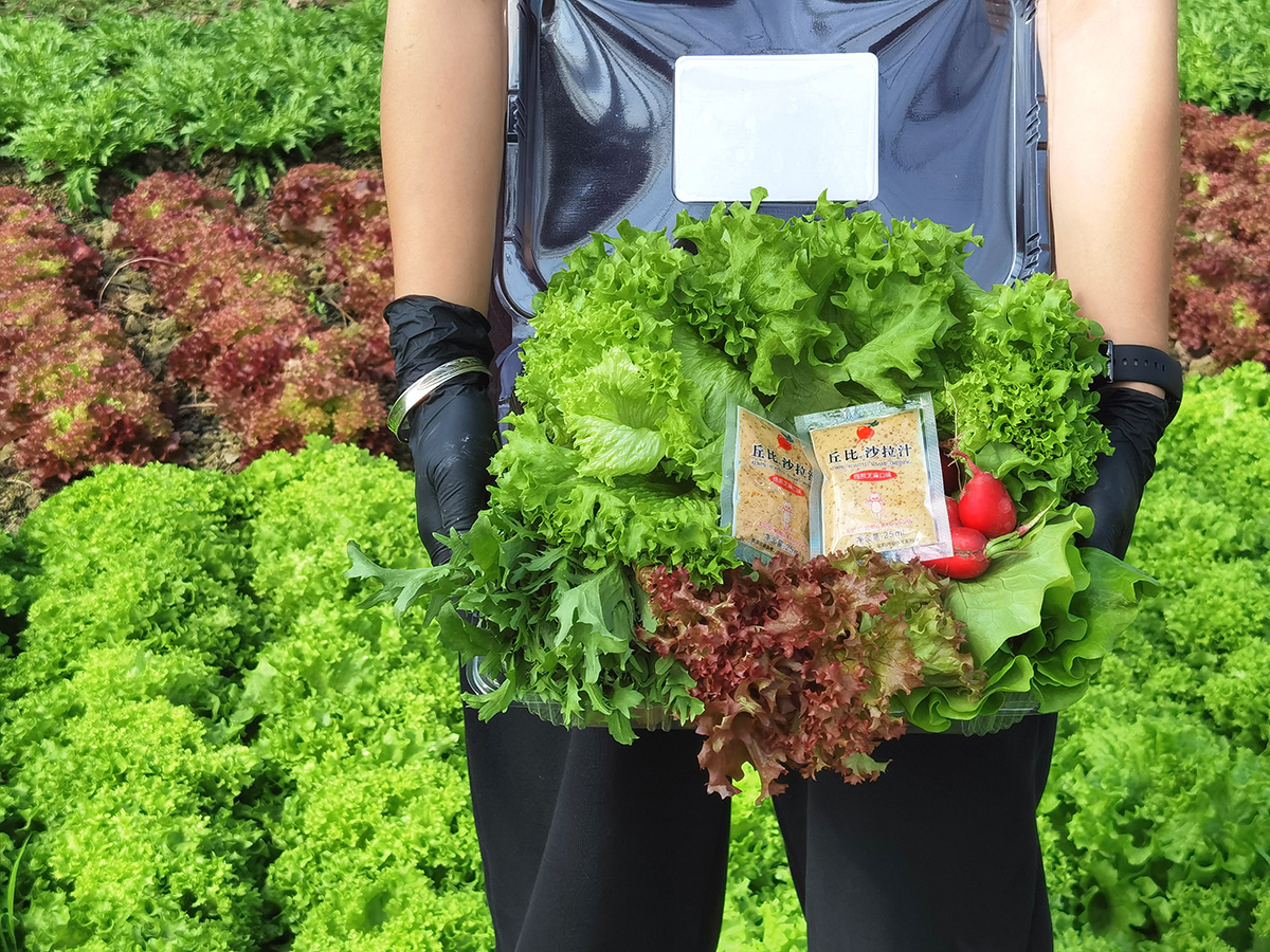 1689213498104880.jpg 微信圖片_20230331134751.jpg