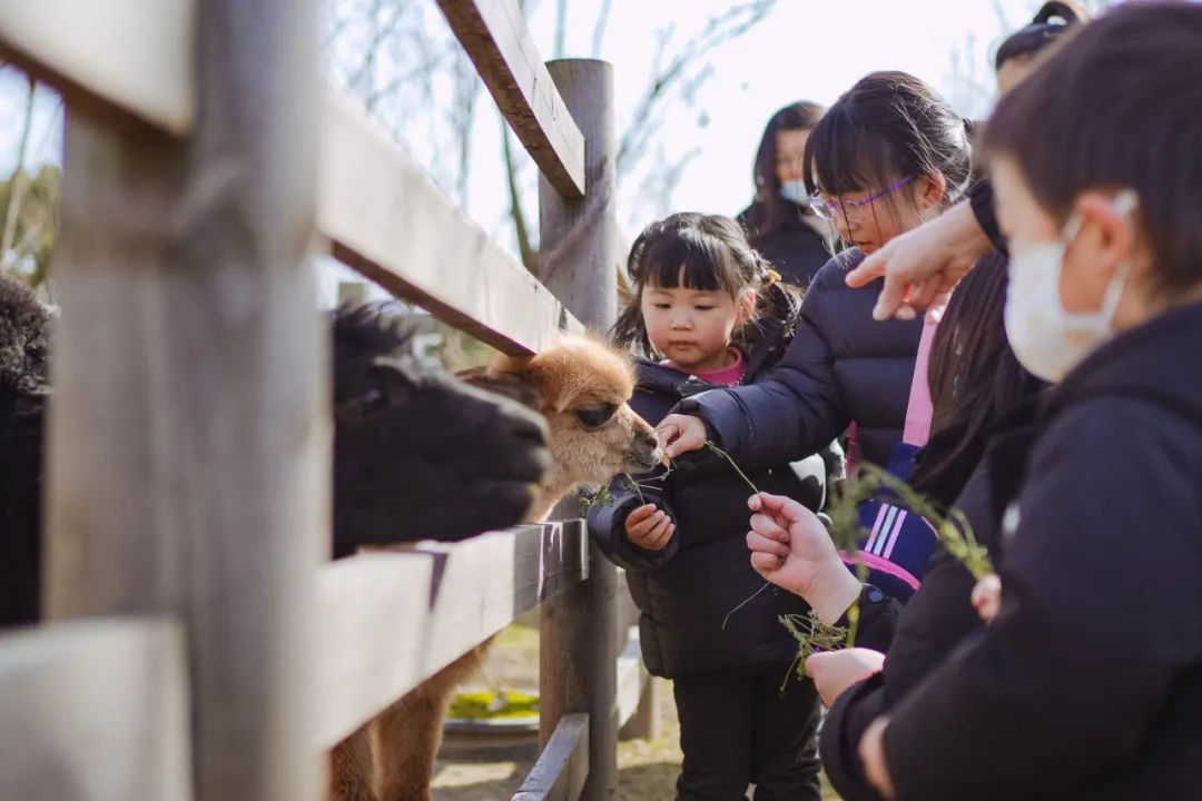 1710307849313804.jpg 640 (5).jpg