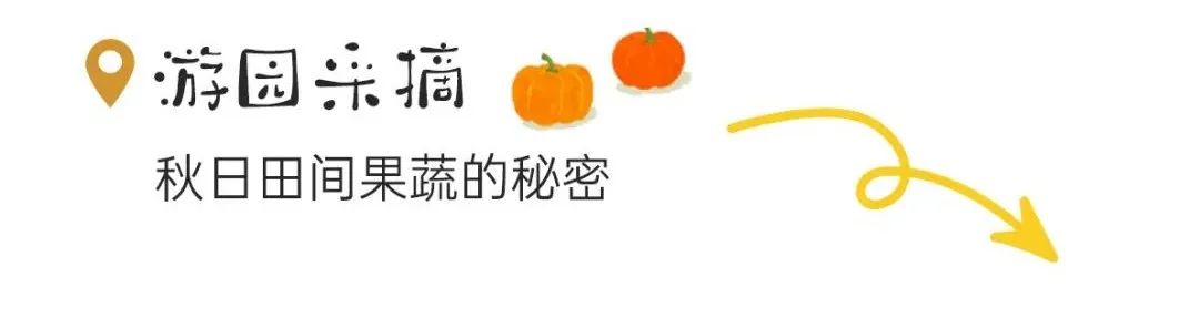 1712021369801821.jpg 640 (14).jpg