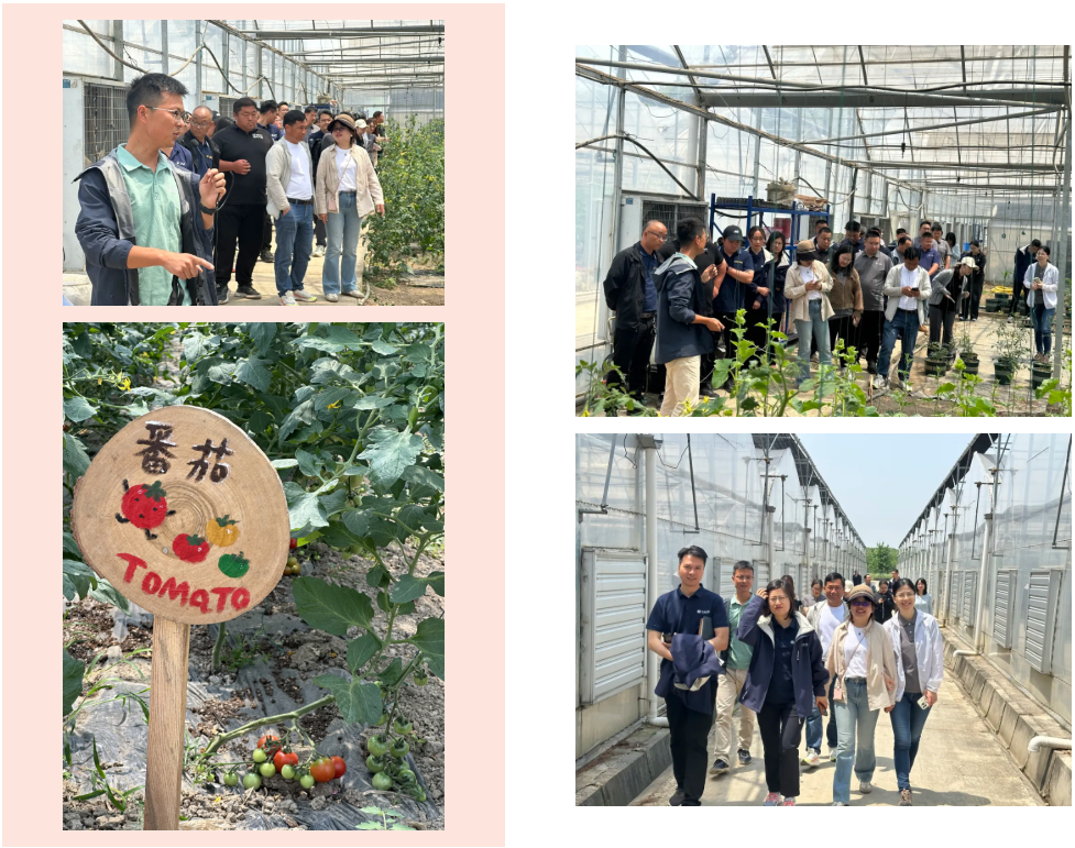 1749176175337653.png QQ20250606-101504.png